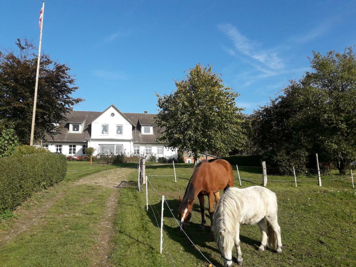 Hansenhof Kappeln Exteriör bild